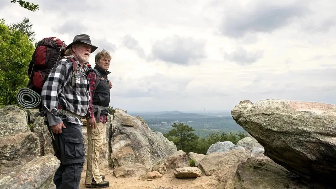 قدم زدن در میان جنگل